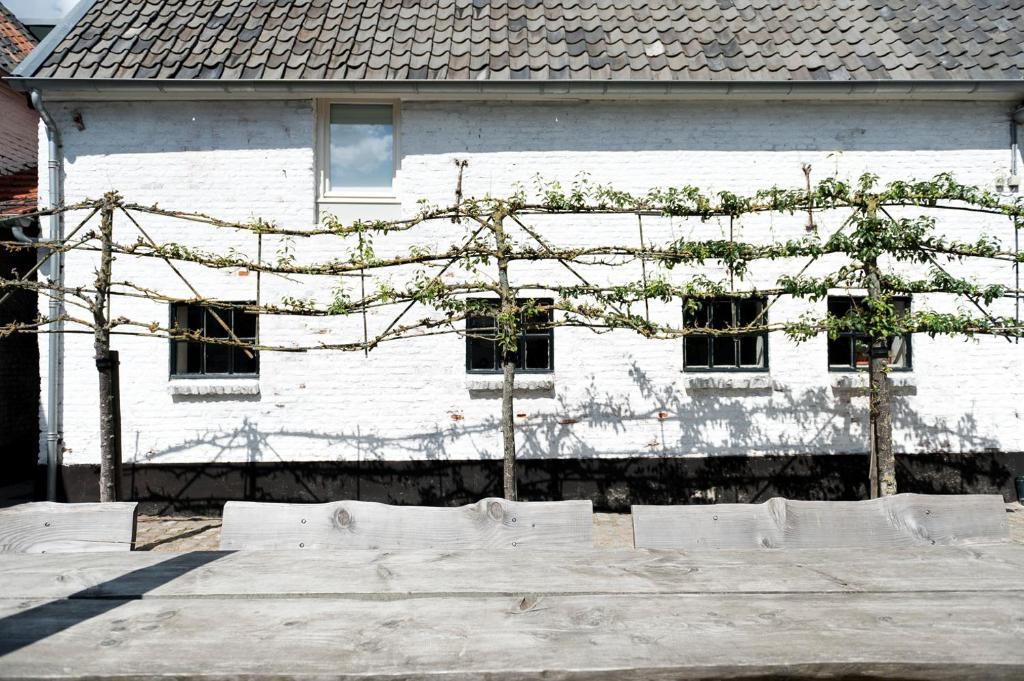 Cour 8 Lofts Guest House Маастрихт Стая снимка